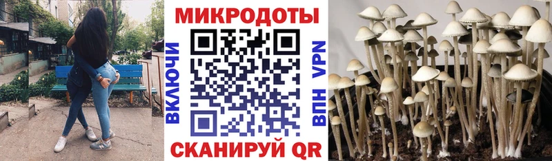 Псилоцибиновые грибы мухоморы  Пенза 